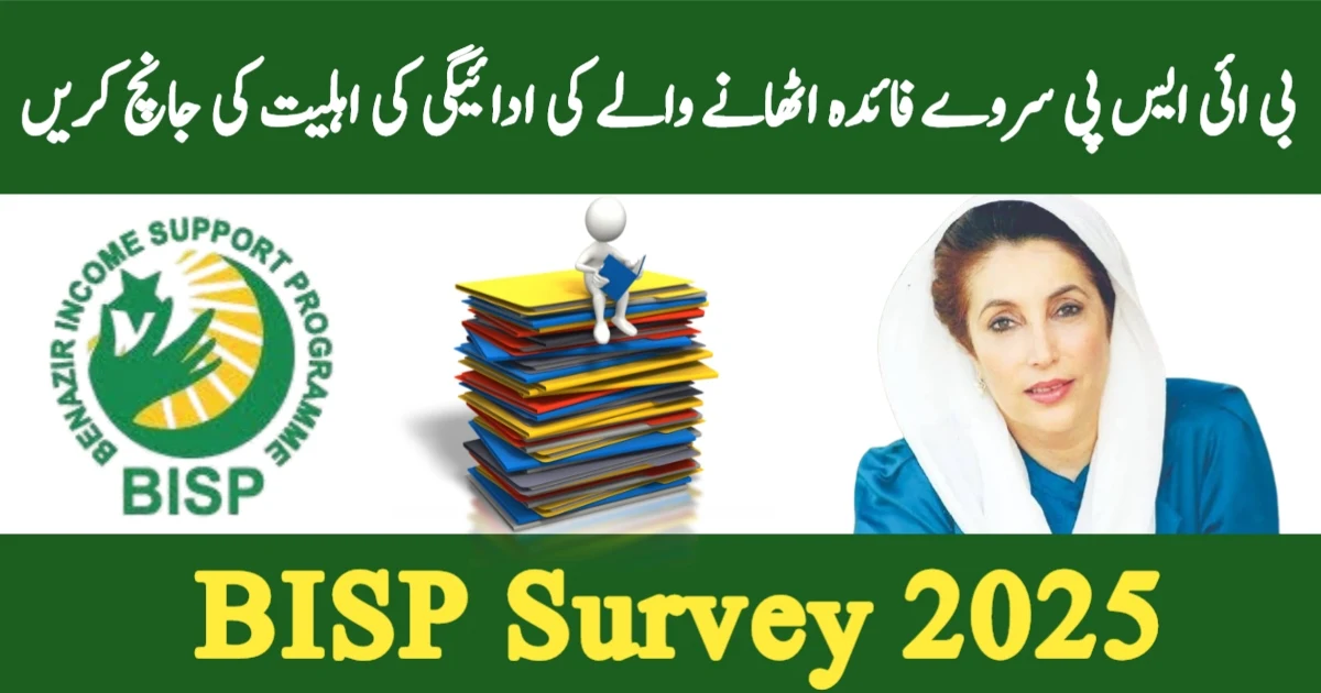 BISP Survey 2025
