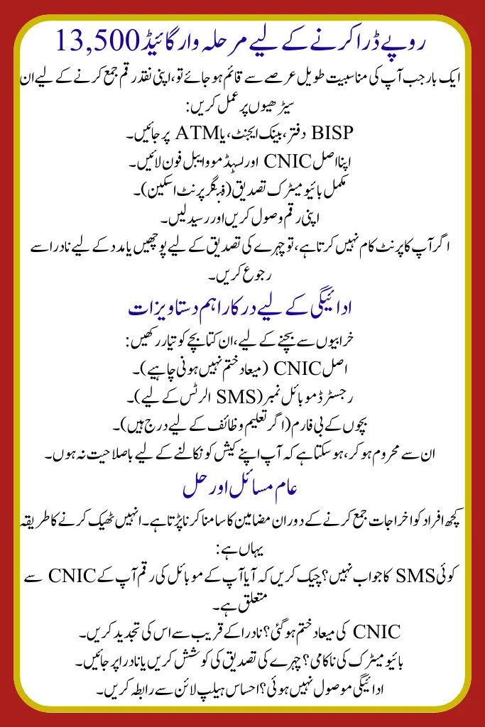 Required Documents for August 2025 Ehsaas 8171 Payment